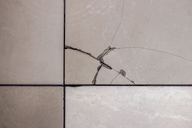 Damaged Tile Restoration